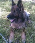 Mirrow 2003-2012 Mirrow